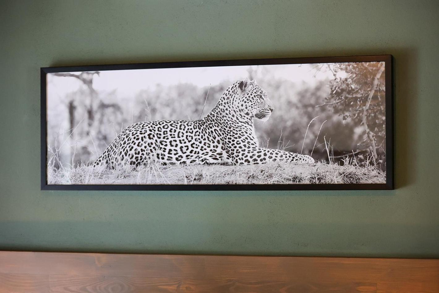 Tomo Safari Lodge Hoedspruit Bilik gambar